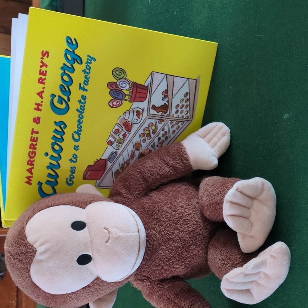 Curious George stuffed animal and book